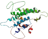 Kisspeptin Receptor (KISS1R)