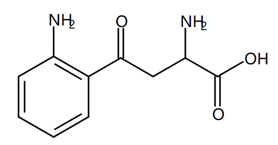 Kynurenine (KYN)