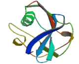 Lectin Galactoside Binding, Soluble 3 Binding Protein (LGALS3BP)