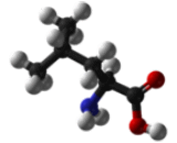 Leucine (Leu)