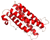 Leukemia Inhibitory Factor (LIF)