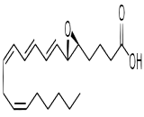 Leukotriene A4 (LTA4)