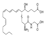 Leukotriene D4 (LTD4)