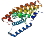 Liver Receptor Homolog 1 (LRH1)