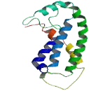 Lysophosphatidylcholine Acyltransferase 3 (LPCAT3)