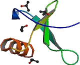 Macrophage Inflammatory Protein 3 Alpha (MIP3a)