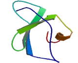 Macrophage Inflammatory Protein 3 Beta (MIP3b)