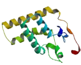 Male Specific Lethal 3 Like Protein 2 (MSL3L2)