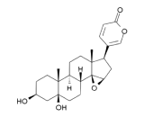 Marinobufagenin (MBG)