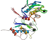 Matrix Metalloproteinase 1 (MMP1)