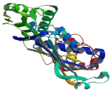 Methionine Adenosyltransferase I Alpha (MAT1a)