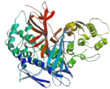 Microsomal Triglyceride Transfer Protein (MTTP)