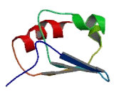 Microtubule Associated Protein 1S (MAP1S)