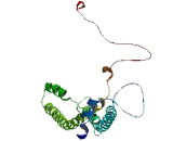 Microtubule Associated Protein 7 (MAP7)