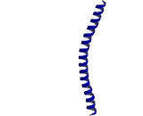 Mitofusin 1 (MFN1)