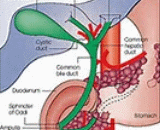 Extrahepatic Cholestasis (EC)