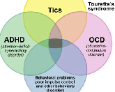 Tourette Syndrome (TS)