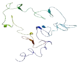 Mucin 13, Cell Surface Associated (MUC13)