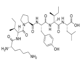 Neuromedin N (NMN)