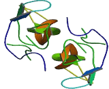 Neurotrophin 3 (NT3)