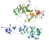 Nucleoporin 155 (NU<b>P155</b>)