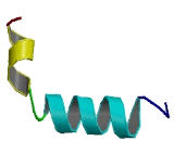 Orexin A (OXA)