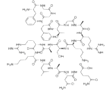 Orphanin FQ (OFQ)