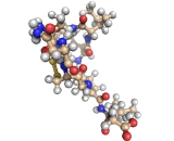 Oxytocin (OT)