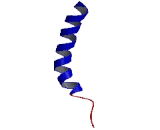 Oxytocin Receptor (OXTR)