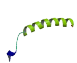 Phosphate Cytidylyltransferase 1, Choline Beta (PCYT1b)