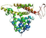 Phosphodiesterase 1A, Calmodulin Dependent (PDE1A)