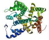 Phosphodiesterase 4B, cAMP Specific (PDE4B)