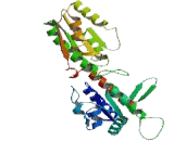 Phosphofructokinase, Platelet (PFKP)