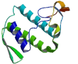 Phospholipase A2, Group IIA (PLA2G2A)