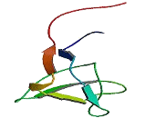 Phospholipase C Gamma 1 (PLCg1)