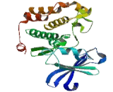 Pim-1 Oncogene (PIM1)