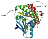 Platelet Derived Growth Factor Receptor Beta (PDGFRb)