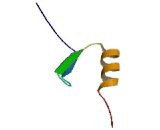 Pleiomorphic Adenoma Gene Like Protein 1 (PLAGL1)