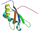 Poly A Binding Protein Cytoplasmic 1 (PABPC1)