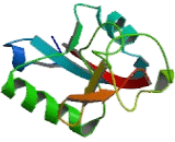 Polycystic Kidney Disease 1 Protein (PKD1)