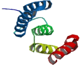 Prolyl-4-Hydroxylase Alpha Polypeptide I (P4Ha1)