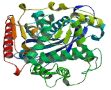 Prolylcarboxypeptidase (PRCP)