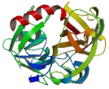 Protease, Serine 55 (PRSS55)