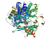 Pyruvate Dehydrogenase Phosphatase Regulatory Subunit, Mitochondrial (PDPR)