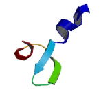 Reactive Oxygen Species Modulator 1 (ROMO1)