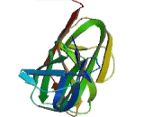 Receptor I For The Fc Region Of Immunoglobulin E (FceRI)