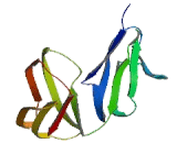 Cluster Of Differentiation 64 (CD64)