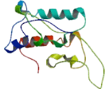 Receptor Interacting Serine Threonine Kinase 2 (RIPK2)