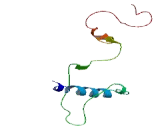 Rho Guanine Nucleotide Exchange Factor 17 (ARHGEF17)