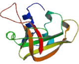 Ribonuclease A3 (RNASE3)